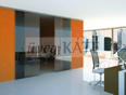 ÜvegKÁTÉ keskenysínes üvegtolóajtó FLO product image 3